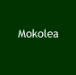 The Mokolea Cattery