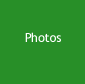 The Latest Mokolea Photos