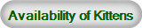 Availability of Kittens