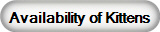 Availability of Kittens